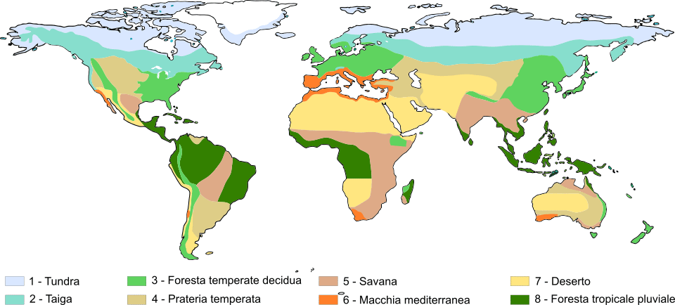 Mappa dei biomi