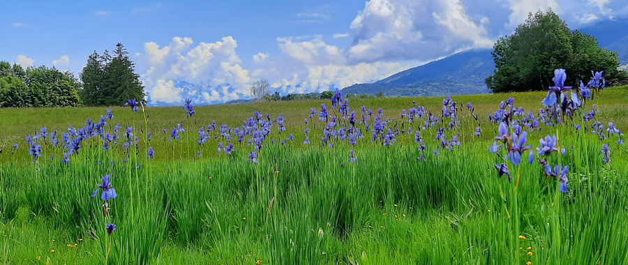 Torbiera di Valpiana