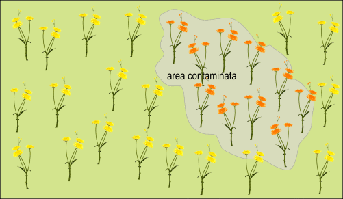 isolamento ecologico