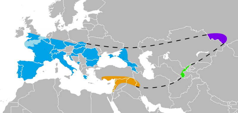 estensione di H. neanderthalesis