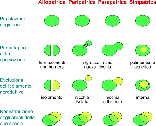 tipi di speciazione