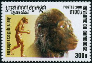 francobollo A. africanus