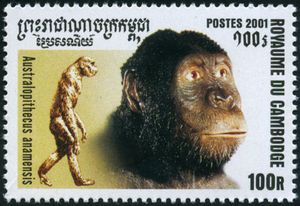 francobollo A. anamensis