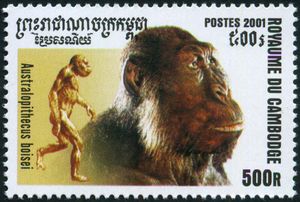 francobollo P. boisei