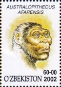 francobollo A. anamensis