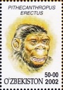 francobollo H. erectus