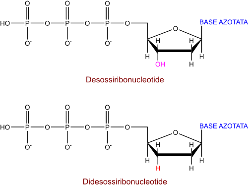 didesossiribonucleotide