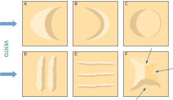 Schema dei tipi di dune