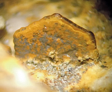 siderite su tridimite