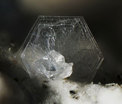 pseudotridimite
