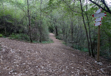 Bivio Alta Via n. 1 e Sentiero n. 17