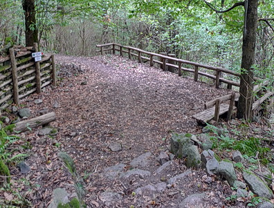 Piazzola carbonaia