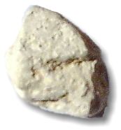 farina fossile
